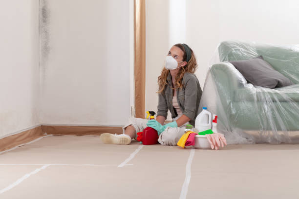 Reliable Mold Remediation contractor in Orange Park, FL by 24 Hour Mold Removal